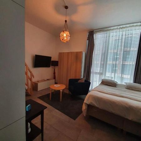 Le Mont-Sur-Lausanne Modern Studio With Mezzanine المظهر الخارجي الصورة