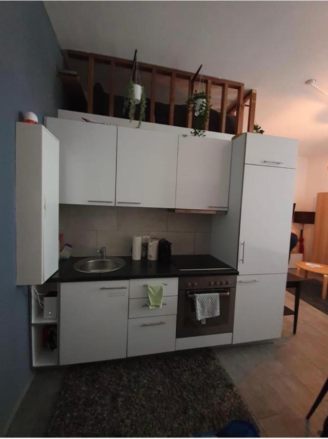Le Mont-Sur-Lausanne Modern Studio With Mezzanine المظهر الخارجي الصورة