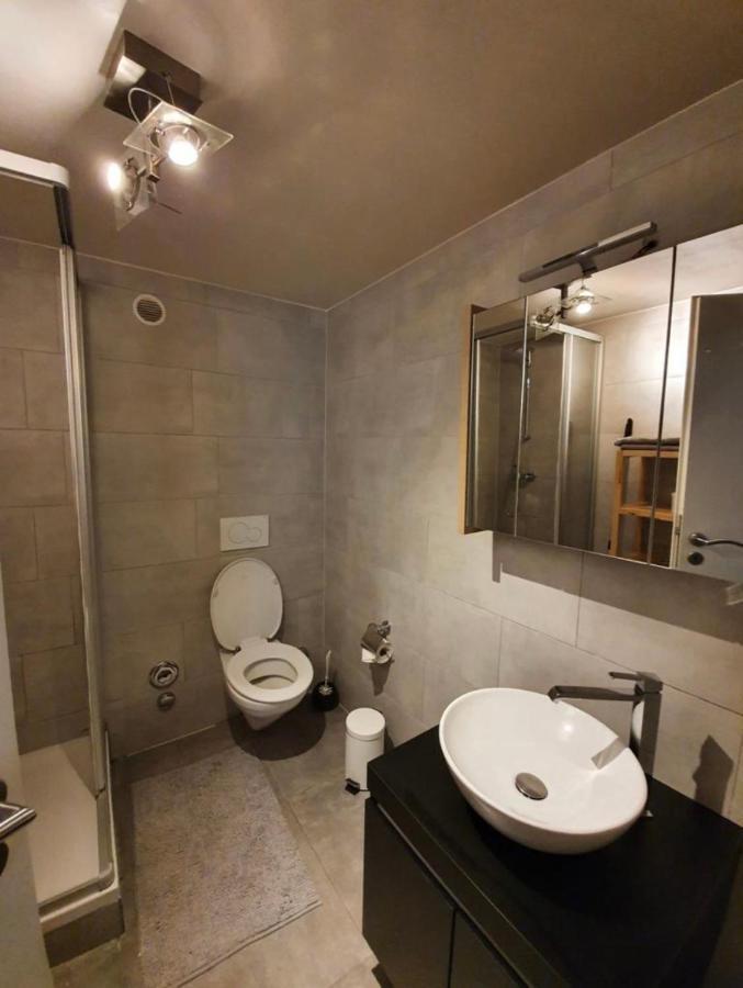 Le Mont-Sur-Lausanne Modern Studio With Mezzanine المظهر الخارجي الصورة