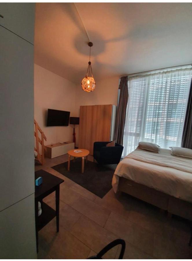 Le Mont-Sur-Lausanne Modern Studio With Mezzanine المظهر الخارجي الصورة